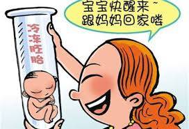 关于包生男孩公司